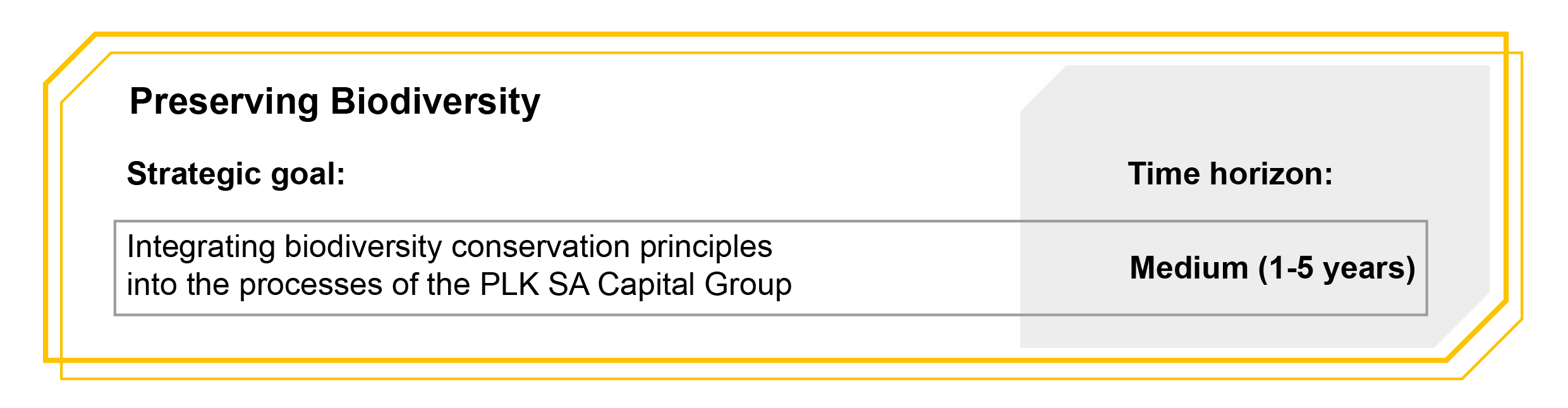 Graphic with the time horizon of objectives: Preserving Biodiversity. Strategic goal: Integrating biodiversity conservation principles into the processes of the PLK SA Capital Group - Medium (1-5 years)